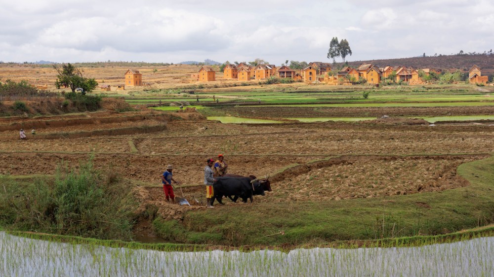 23365905980_3a8ef5e196_k