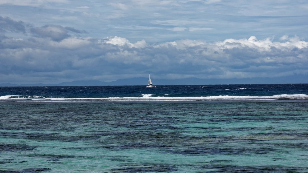 23537457610_4caa853b04_k