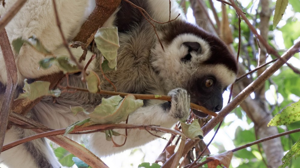 23552883882_2ab36e7203_k