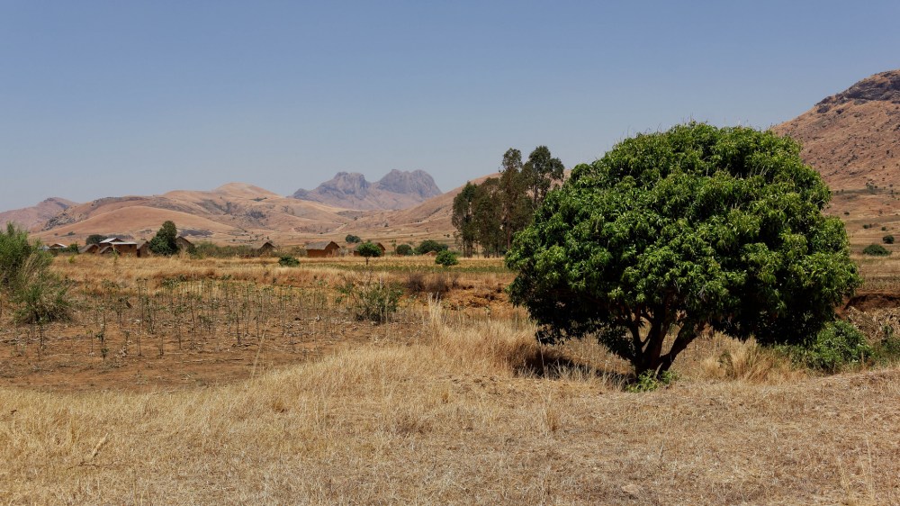 23552901442_d246a970a5_k