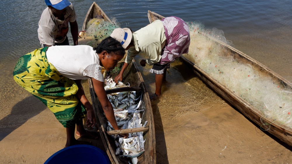 23552980432_f9cd1cd192_k