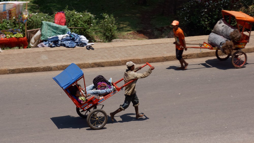 23553061972_f918d689a3_k