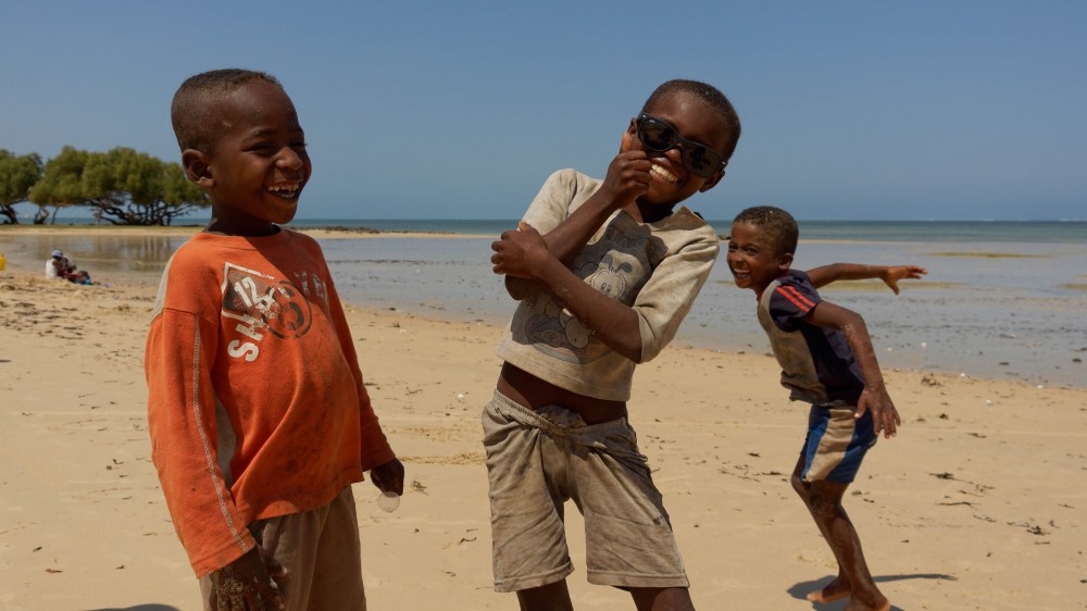 23578916731_2766119ded_k