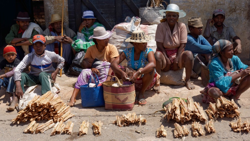 23579043031_0bc79c6e3d_k