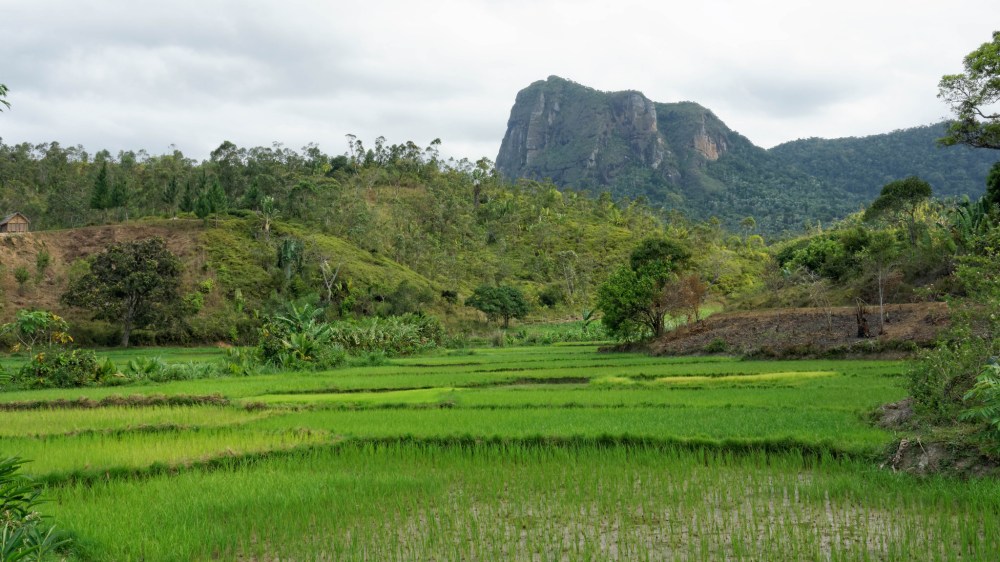 23579066291_4508f24c5d_k