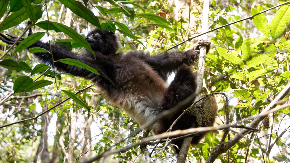 23579122351_7d9a4b0245_k