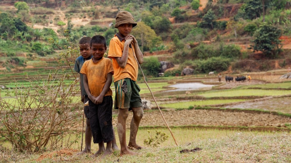 23579145761_bf1bd91cb2_k