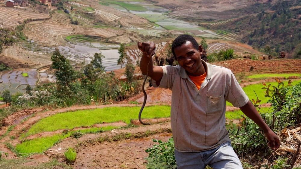 23635514366_b9975912ab_k