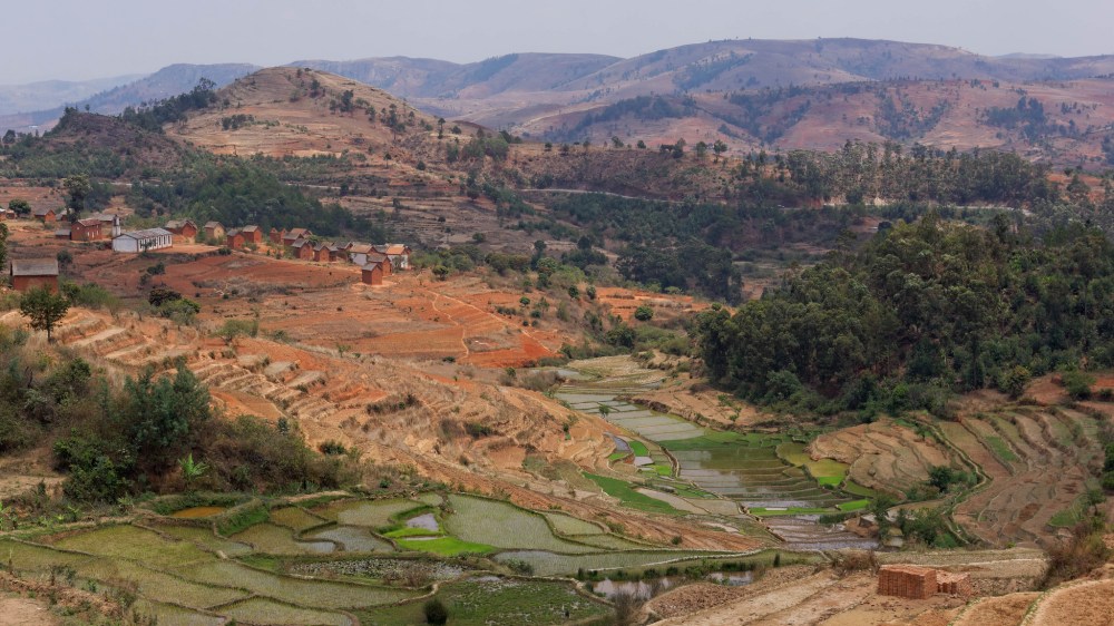 23635522106_4cc50872f1_k