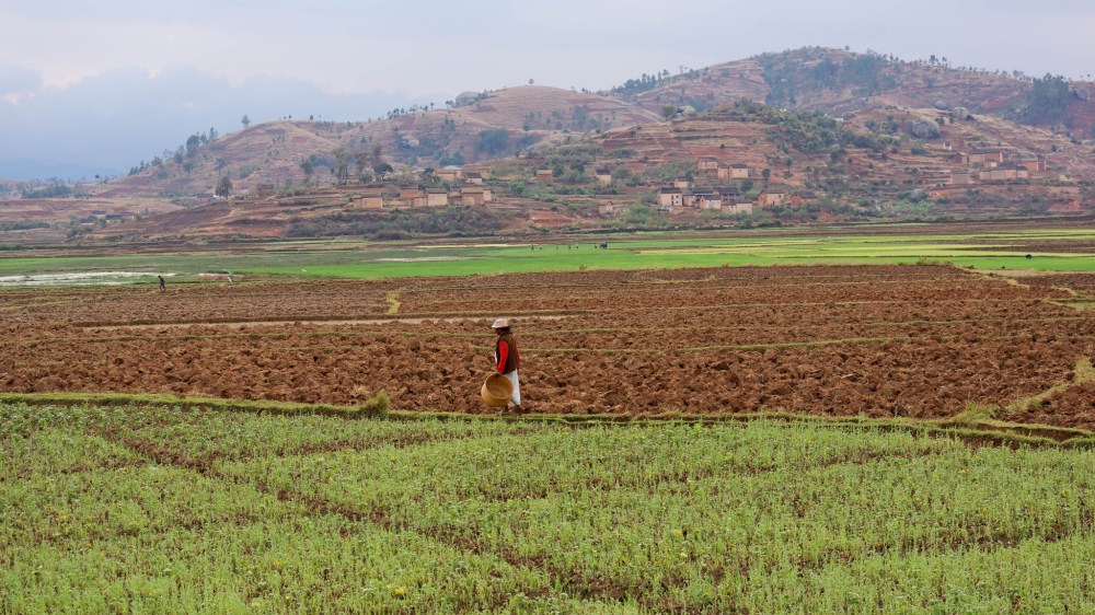 23635525126_d625d7a533_k