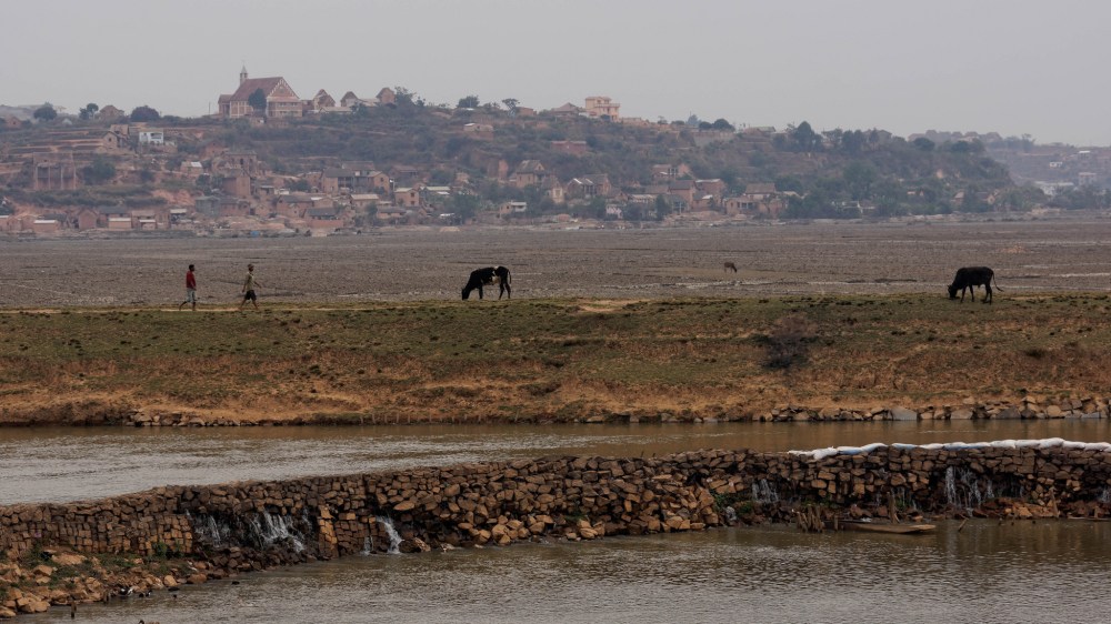 23661333075_ec23ec7692_k