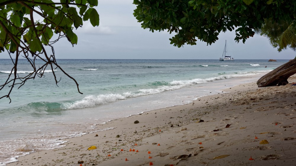 23724697612_1b68f1123c_k